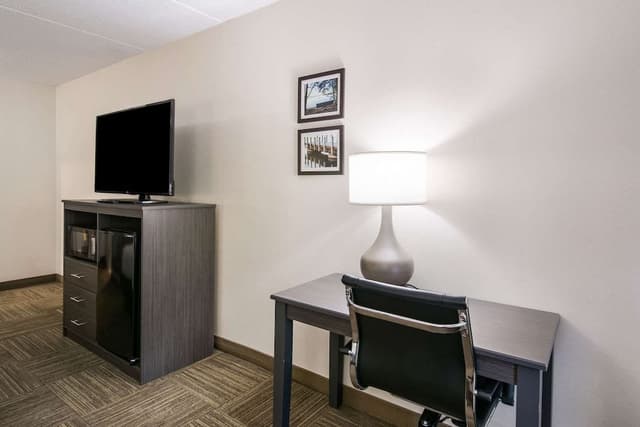 Standard Room, 1 King Bed, Non Smoking (No Pets - 1st Floor)