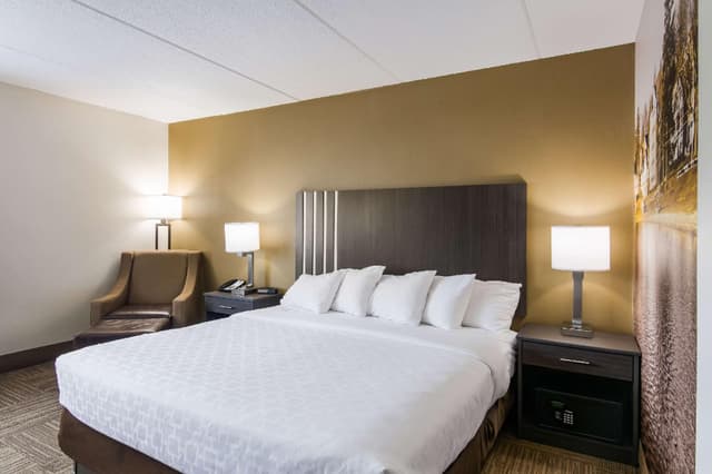 1 King Bed, Nonsmoking, Accessible, Upgrade