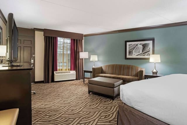 Suite, 1 King Bed, Non Smoking, Refrigerator & Microwave (with Sofabed)
