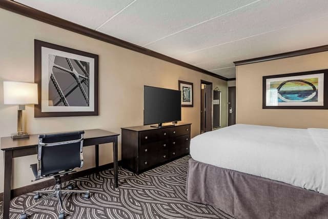 Suite, 1 King Bed, Non Smoking, Refrigerator & Microwave (with Sofabed)