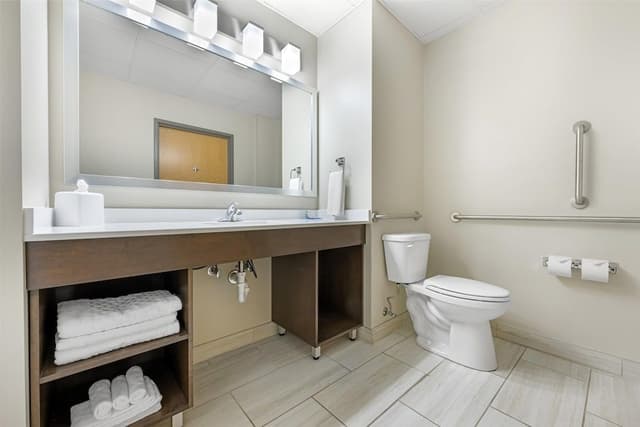Suite, 1 King Bed, Accessible, Refrigerator & Microwave (with Sofabed)
