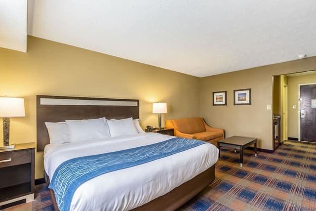 Standard Room, 1 King Bed with Sofa bed, Non Smoking