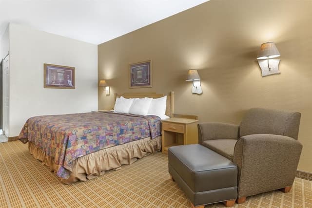 Standard Room, 1 King Bed, Accessible, Non Smoking (Walk-in Shower;with Sofabed)