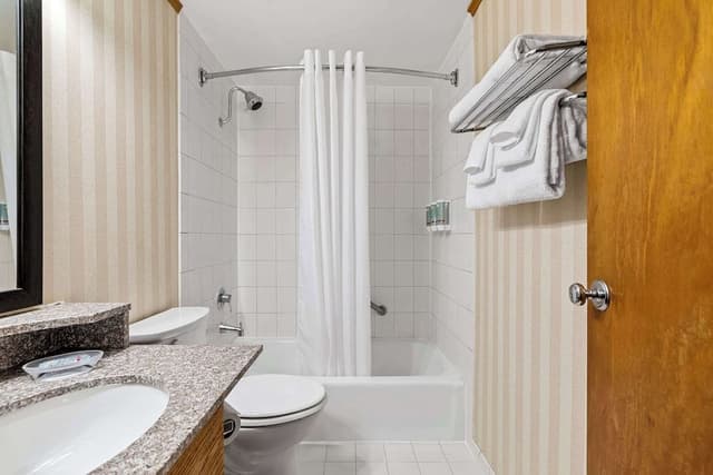 Standard Room, 1 King Bed, Non Smoking, Refrigerator & Microwave (1st Floor)