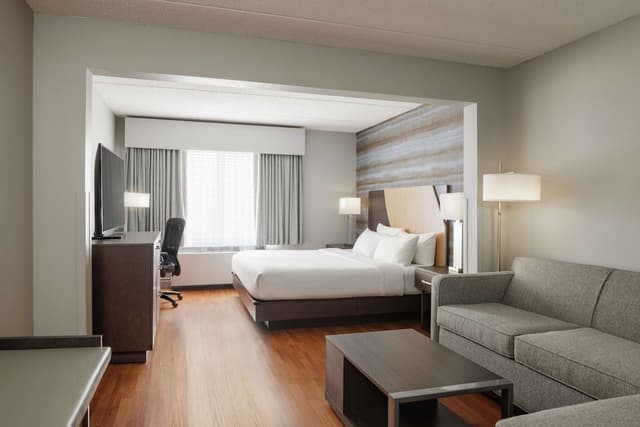 Room, 1 King Bed
