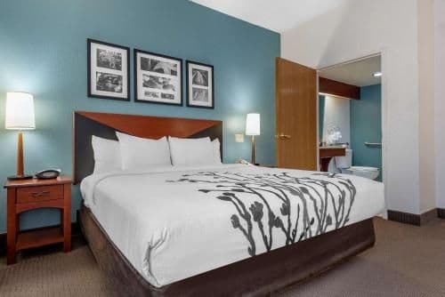 1 King Bed, Nonsmoking, Accessible
