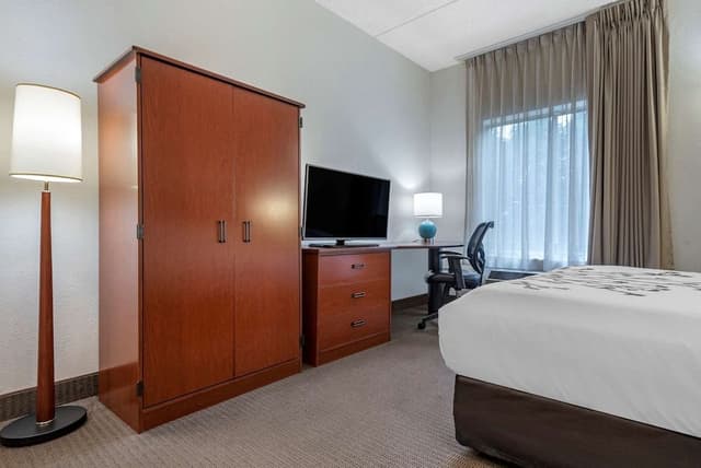 Standard Room, 1 King Bed, Non Smoking