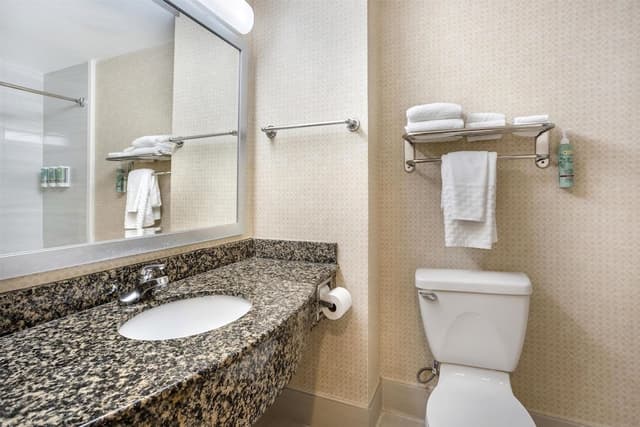 Deluxe Room, 1 King Bed, Non Smoking, Refrigerator (with Sofabed)