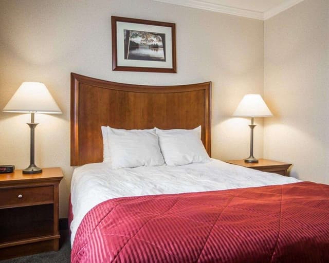 Suite (1 King Bed, 1 Queen Bed, Large)