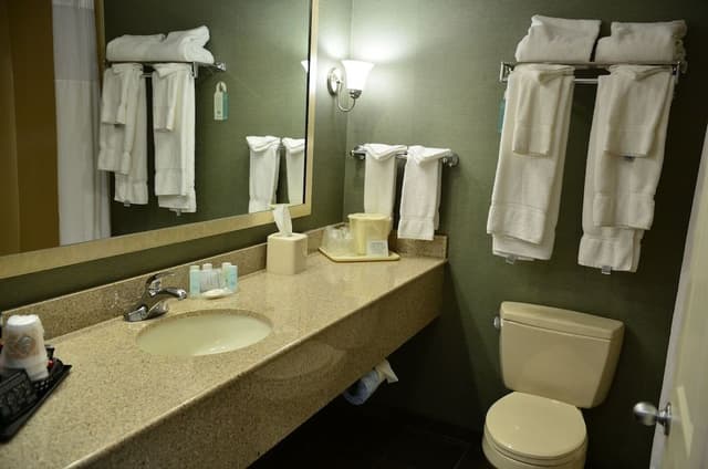 Suite (1 King Bed, 1 Queen Bed, Large)
