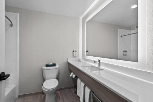 King Suite