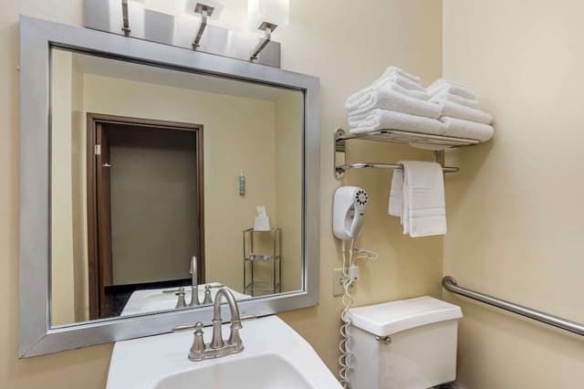Standard Room, 1 King Bed, Accessible, Bathtub