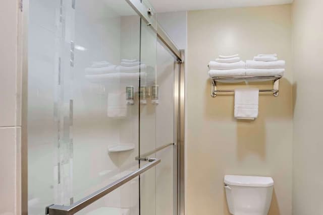 Standard Room, 1 King Bed, Non Smoking, Refrigerator & Microwave