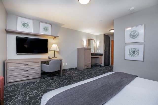 Room, Run of House