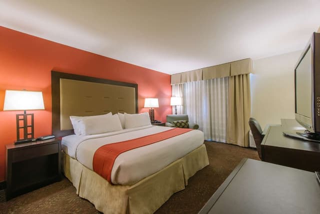 1 KING BED
