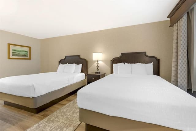 Standard Room, 2 Queen Beds, Accessible, Refrigerator & Microwave