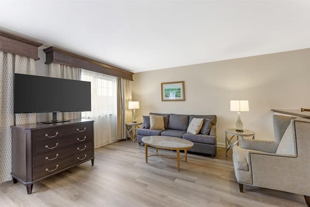 Standard Room, 1 King Bed, Non Smoking, Jetted Tub (with Sofabed)