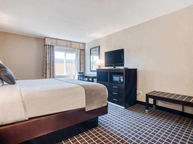 Room, 1 King Bed, Accessible