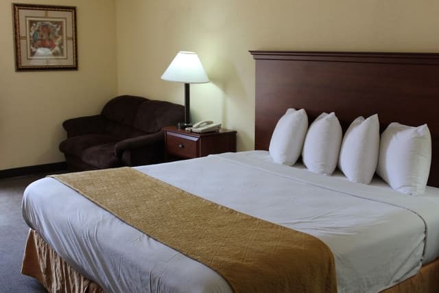 Standard Room, 1 King Bed, Non Smoking