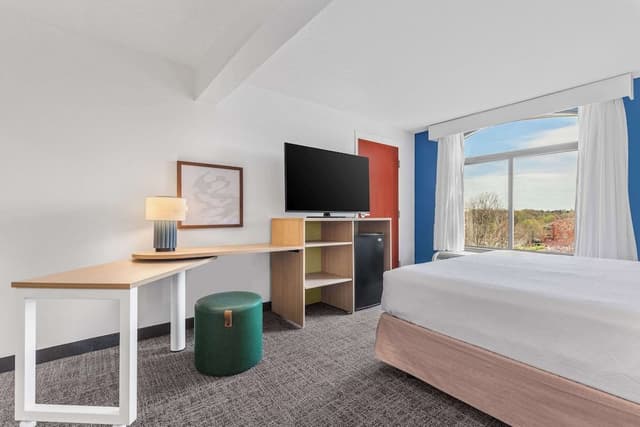 Room, 1 King Bed, Accessible (Mobility, Roll-In Shower)
