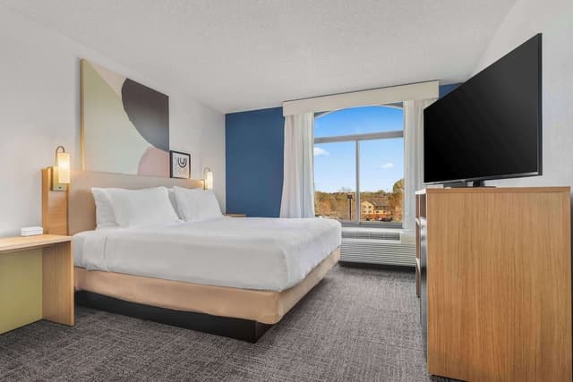 Room, 1 King Bed with Sofa bed