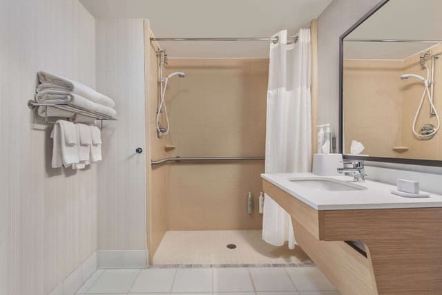 Room, 1 King Bed, Accessible (Mobility, Roll-In Shower)