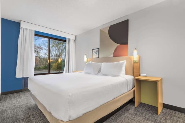 Suite, 1 Bedroom