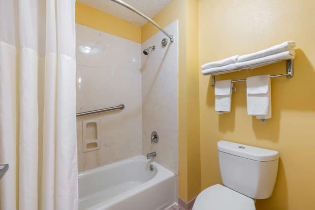 1 King Bed, Suite, Nonsmoking