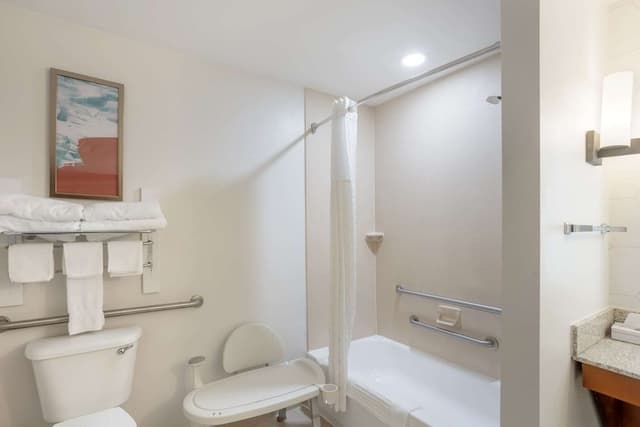 Suite, Multiple Beds, Accessible, Non Smoking