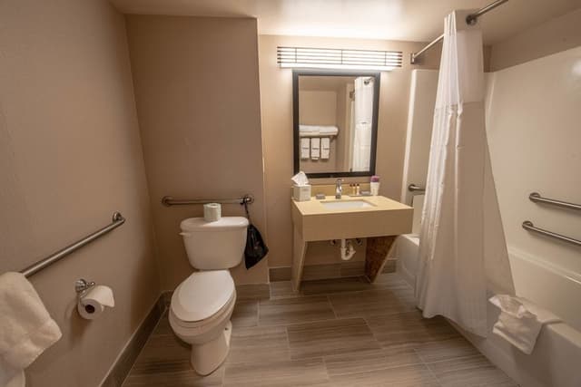 Standard Room, 1 King Bed, Accessible