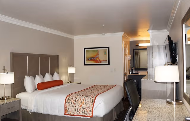 Basic Room, 1 King Bed