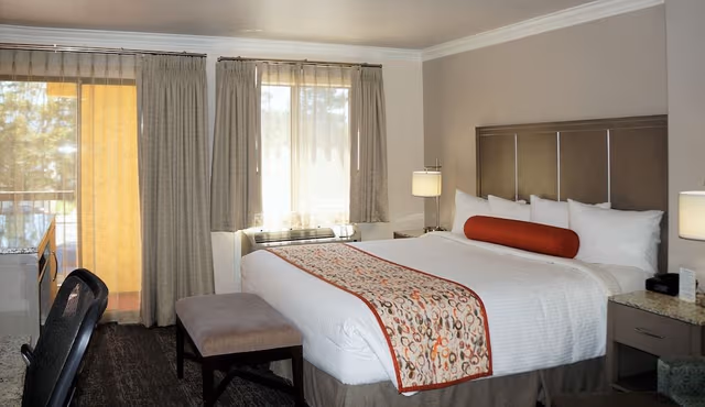 Basic Room, 1 King Bed
