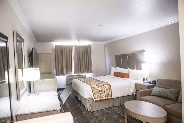Basic Room, 1 King Bed