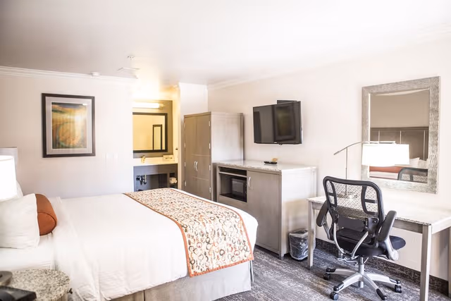 Basic Room, 1 King Bed