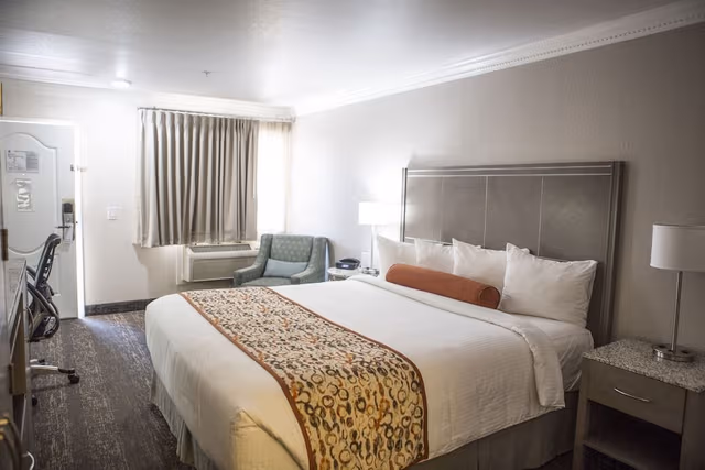Basic Room, 1 King Bed