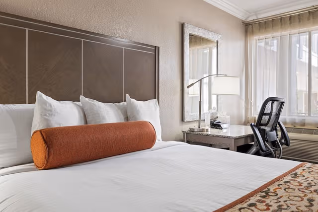 Basic Room, 1 King Bed