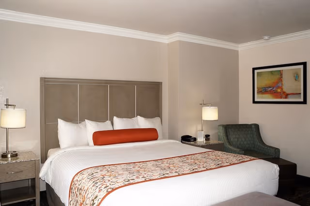 Basic Room, 1 King Bed