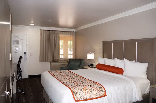 Basic Room, 1 King Bed