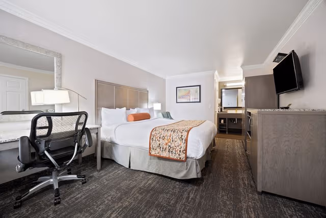 Basic Room, 1 King Bed