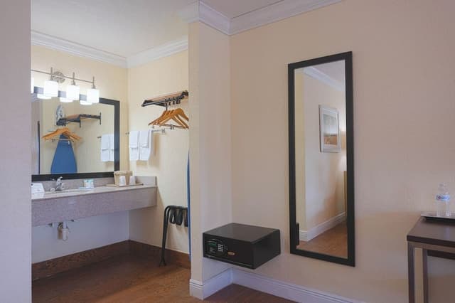 Premium King Room
