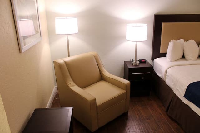 Premium King Room