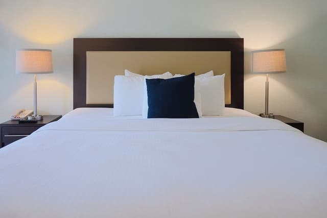 Premium King Room