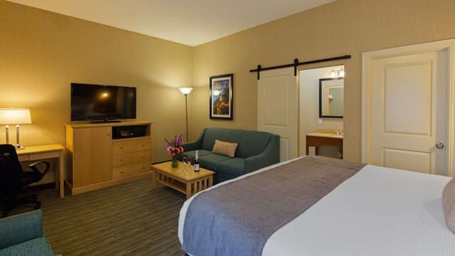 Standard Room, 1 King Bed, Non Smoking, Refrigerator & Microwave