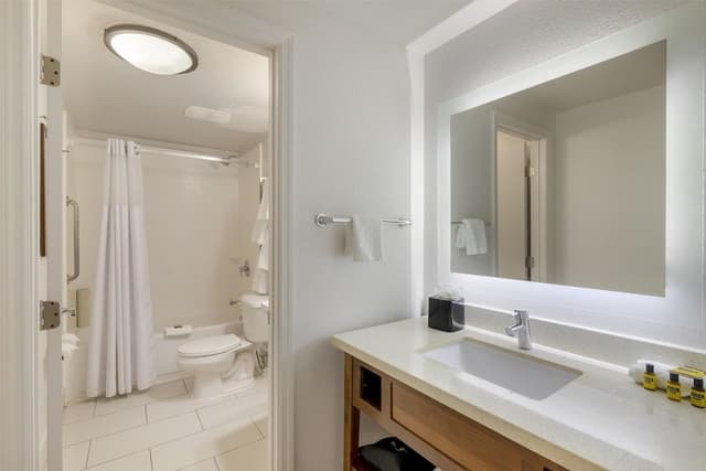 Suite, 1 King Bed, Non Smoking, Kitchen (with Single Sofabed, Full Kitchen)