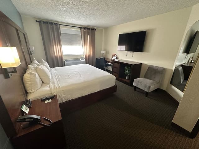 Deluxe Suite (Hotel) (No Pets)