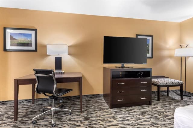 Standard Room, 1 King Bed, Non Smoking, Refrigerator & Microwave (with Single Sofabed)