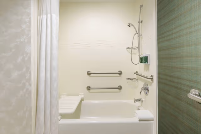 Studio, 1 Queen Bed with Sofa bed (Mobility Accessible, Tub)