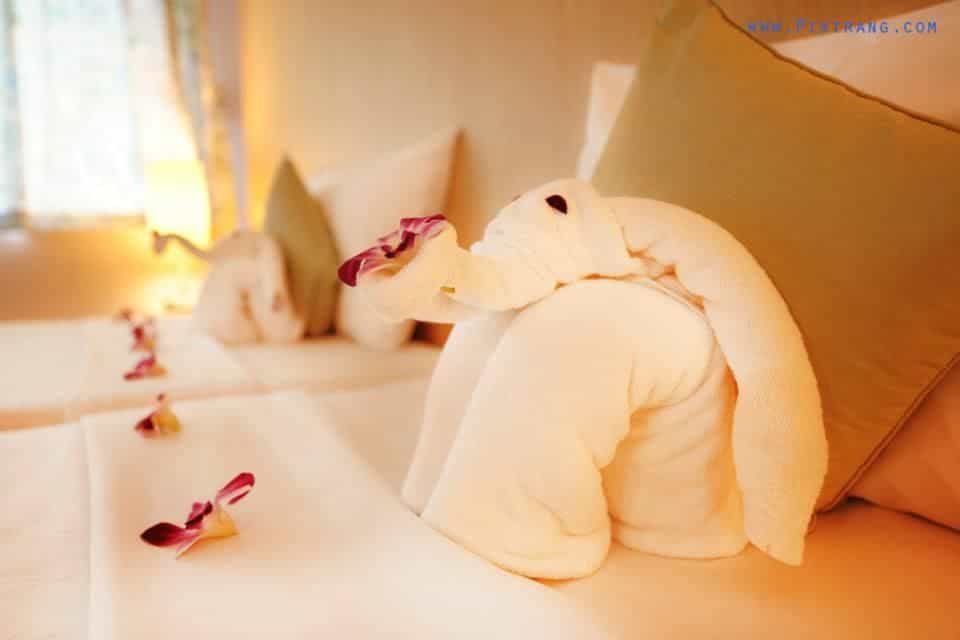 เอสทูเอส ควีน ตรัง เอสทูเอส ควีน ตรัง