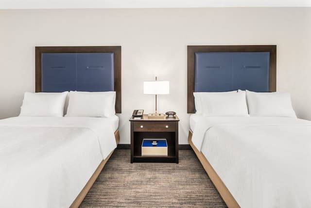 Suite, Multiple Beds