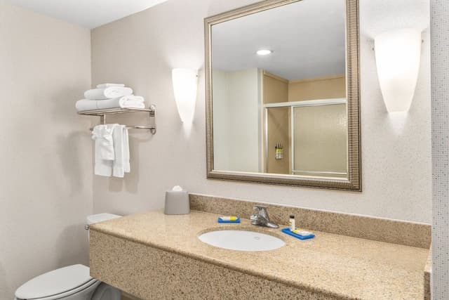 Suite, Multiple Beds